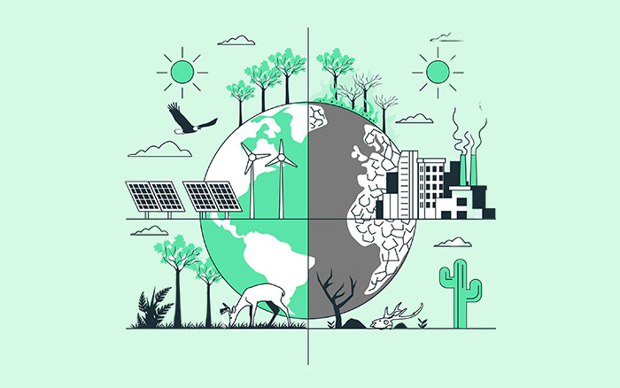 Environmental Impact